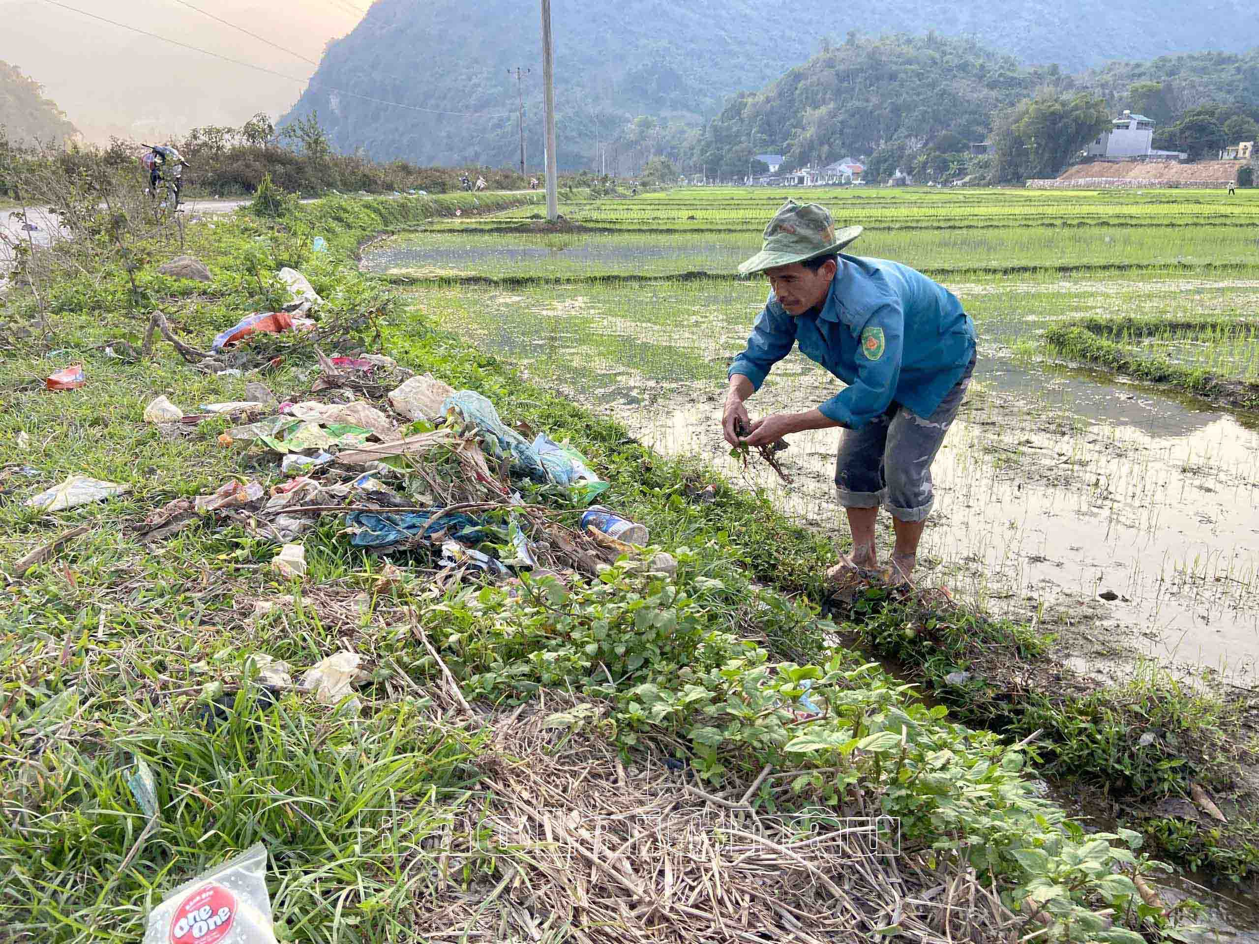 Rác vứt bừa bãi tràn xuống mương ruộng của người dân bản Phiêng Đanh.